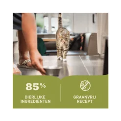 Premium Kattenvoer Pâté Lamb 85 gr^Acana Discount