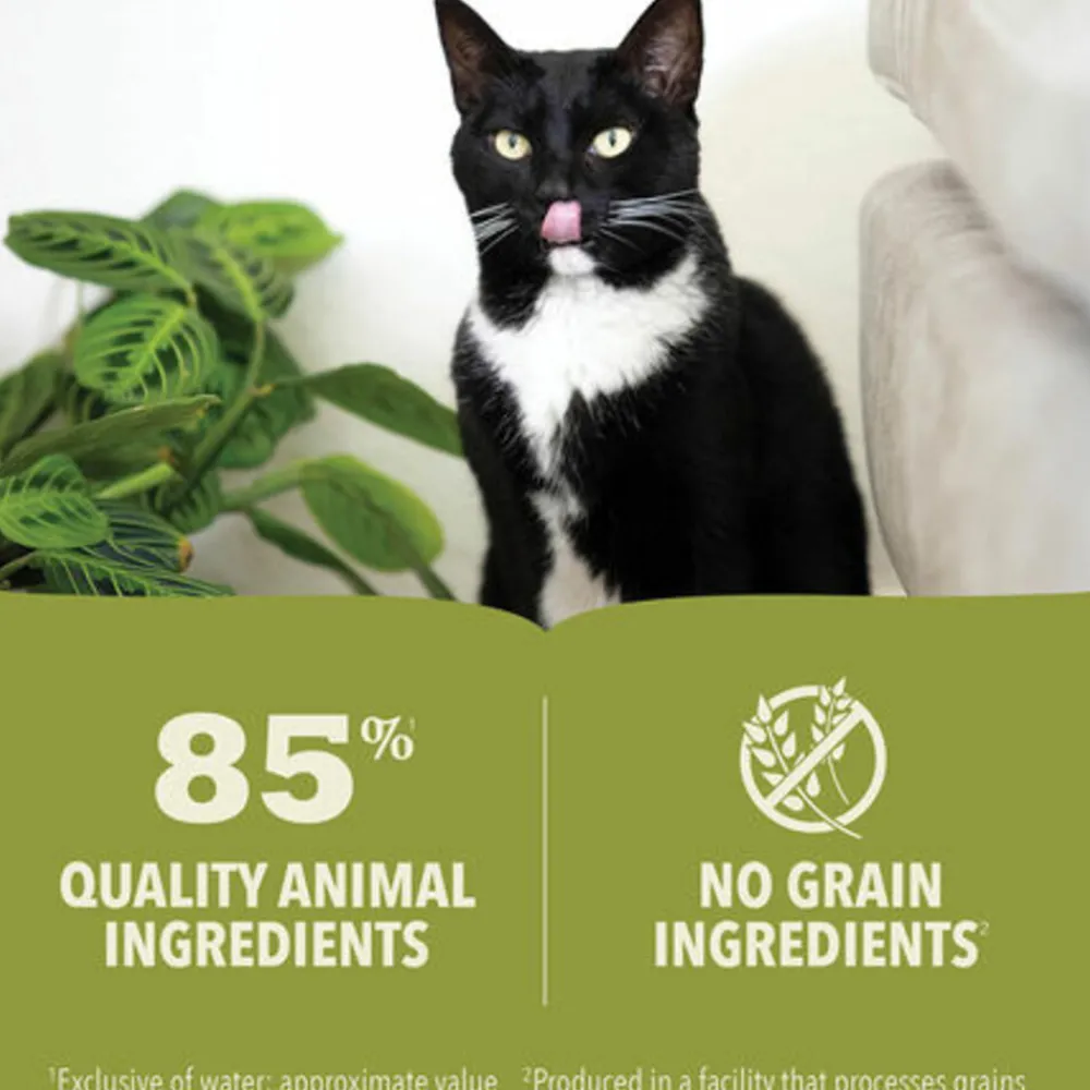 Kattenvoer<Acana Premium Kattenvoer Pâté Salmon & Chicken 85 gr