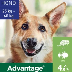 Anti Vlooiendruppels 400 Hond 25 - 40 kg 4 pipetten^Advantage Outlet