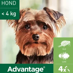 Anti Vlooiendruppels 40 Hond 1,5 - 4 kg 4 pipetten Vlo, Teek & Worm