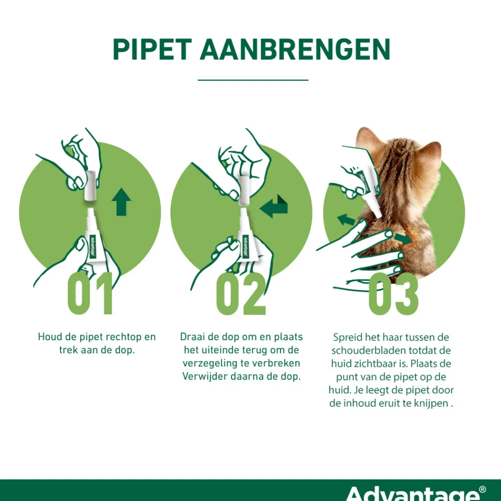 Anti Vlooiendruppels 40 Hond 1,5 - 4 kg 4 pipetten Vlo, Teek & Worm