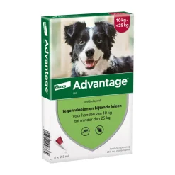 Vlo, Teek & Worm<Advantage Anti Vlooiendruppels 250 Hond 10 - 25 kg 4 pipetten