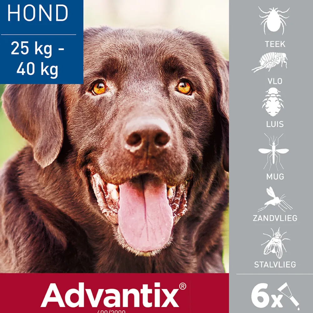 Hot Spot On 400 Anti Vlooien en Teken Druppels Hond 25 - 40 kg 6 pipetten Vlo, Teek & Worm