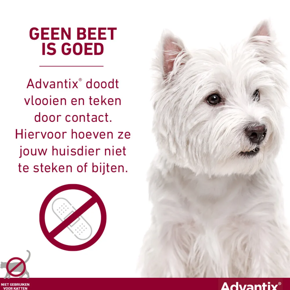 Hot Spot On 400 Anti Vlooien en Teken Druppels Hond 25 - 40 kg 6 pipetten Vlo, Teek & Worm