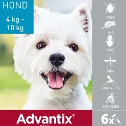 Vlo, Teek & Worm<Advantix Spot On 100 Anti Vlooien en Teken Druppels Hond 4 - 10 kg 6 pipetten