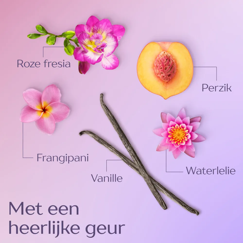 Shampoo<Andrélon Shampoo Levendig Lang 250 ml