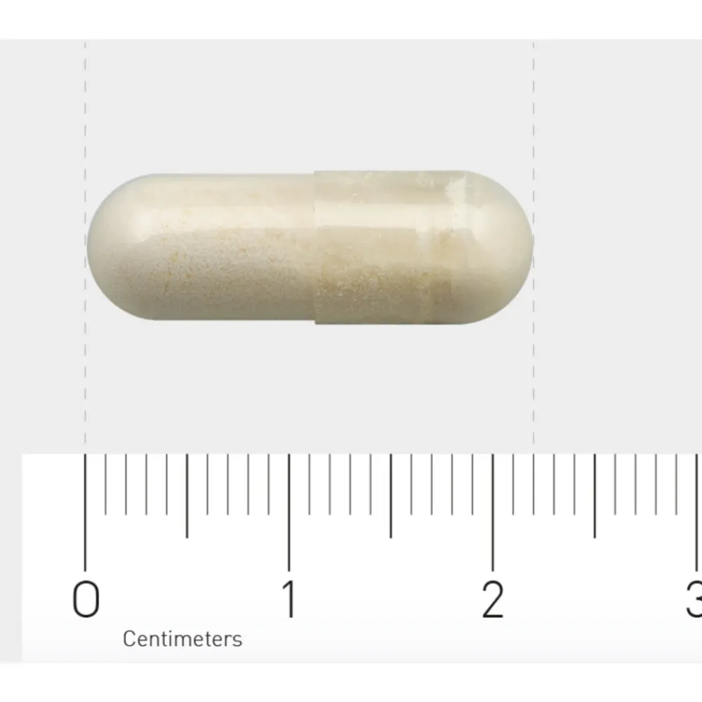 Hot 1132 Lactase 60 vegacapsules Speciale Bestanddelen