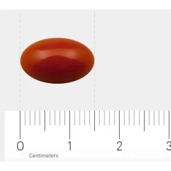 Speciale Bestanddelen<AOV 911 Luteïne Forte (20 mg) 60 capsules