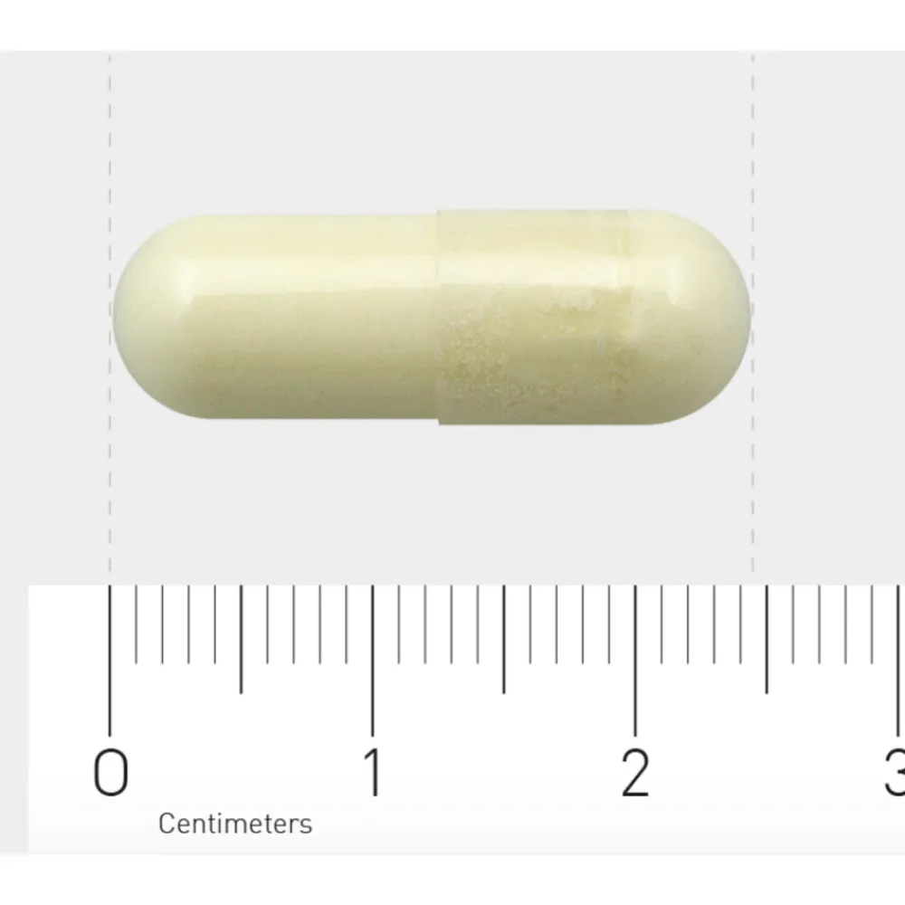 Outlet 515 Magnesium AC 120 vegacapsules Mineralen