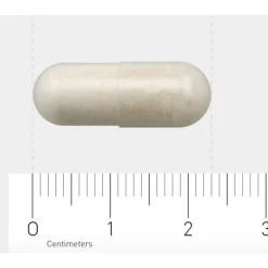 Speciale Bestanddelen<AOV 1203 Probiotica Complex 60 vegacapsules