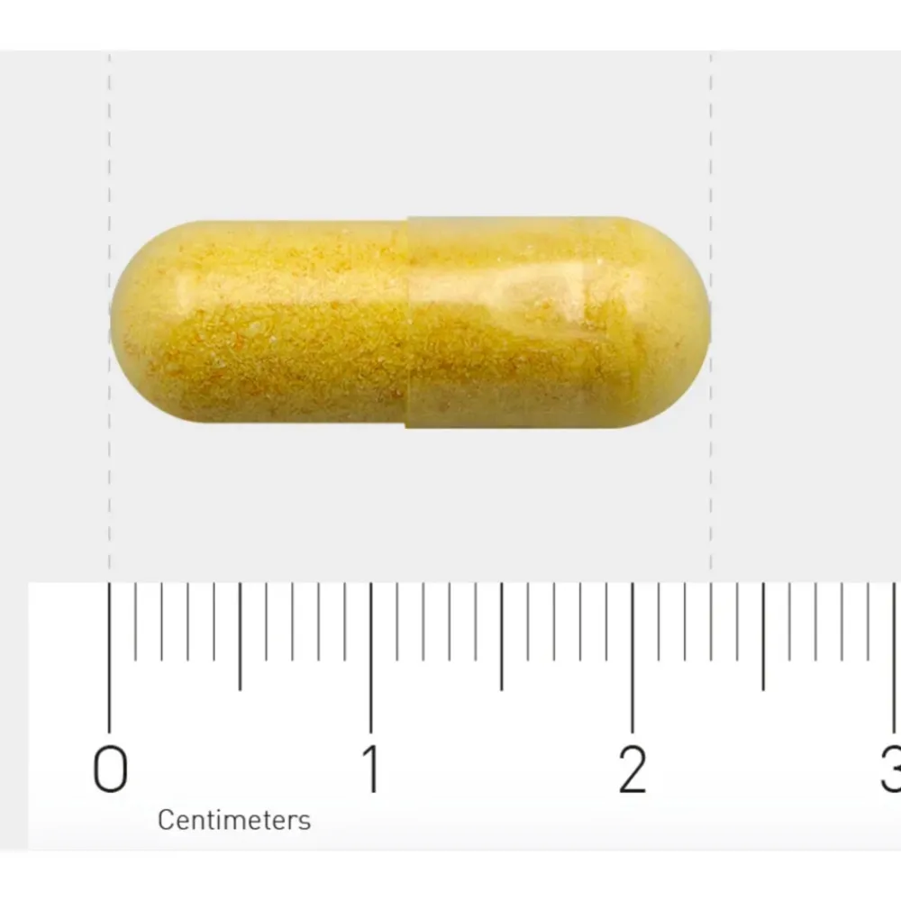 241 Vitamine B Complex 120 vegacapsules^AOV Hot