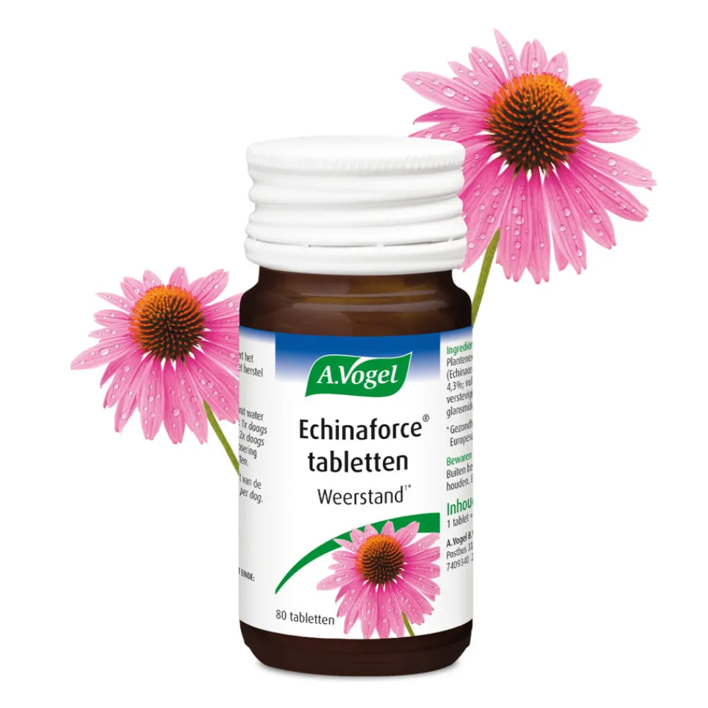 Echinaforce Weerstand 80 tabletten^A.Vogel Online