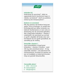 Outlet Junior Echinaforce met Vitamine C 80 kauwtabletten Vitaminen & Supplementen|Weerstand & Energie
