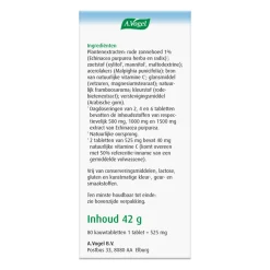 Outlet Junior Echinaforce met Vitamine C 80 kauwtabletten Vitaminen & Supplementen|Weerstand & Energie