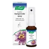Rustgevend & Slapen<A.Vogel Passiflora Rustgevende Spray 20 ml