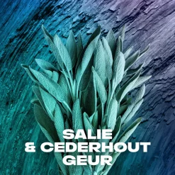 Deodorant Bodyspray Apollo 150 ml^Axe Outlet