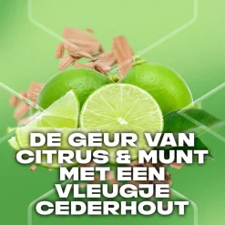 Outlet 3-in-1 Douchegel Green Mojito & Cedarwood 250 ml Bad & Douche