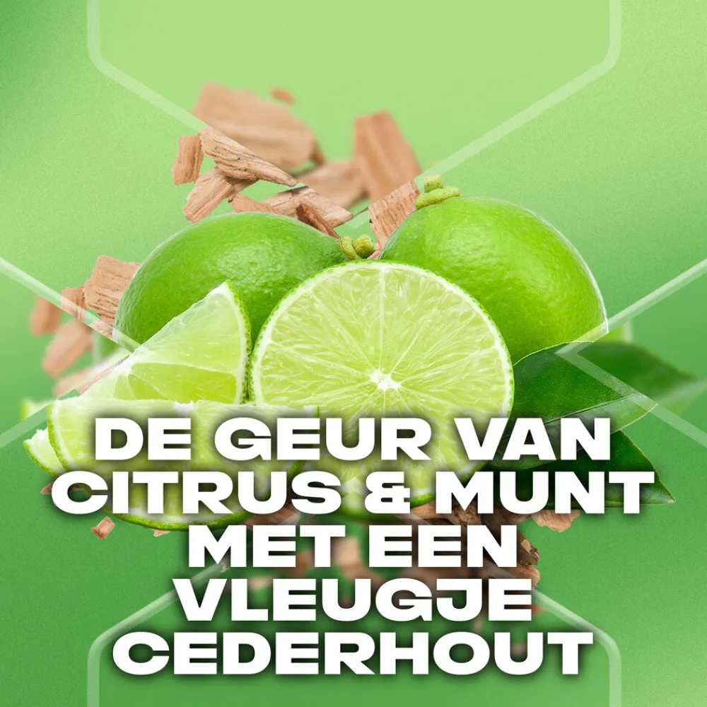 Outlet 3-in-1 Douchegel Green Mojito & Cedarwood 250 ml Bad & Douche