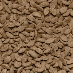 Droogvoer & Zaden<Beaphar Care+ Chinchilla 1,5 kg