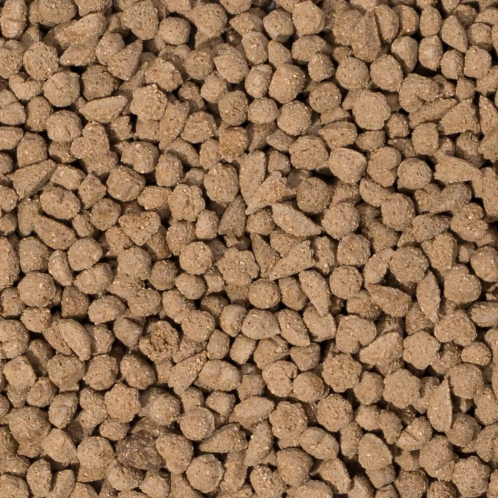 Discount Care+ Konijn Adult 5 kg Droogvoer & Zaden