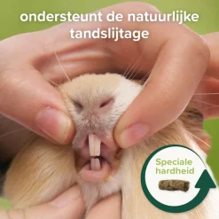 Care+ Nature Cavia 1,5 kg^Beaphar Discount