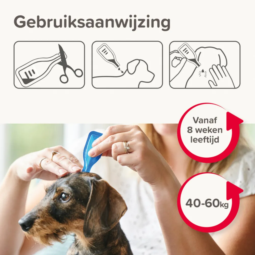 Combotec Anti Teken- en Vlooiendruppels Hond 40-60 kg 2 pipetten^Beaphar Discount