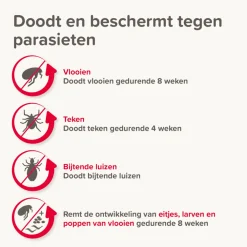 Vlo, Teek & Worm<Beaphar Combotec Anti Teken- en Vlooiendruppels Hond 2-10 kg 2 pipetten