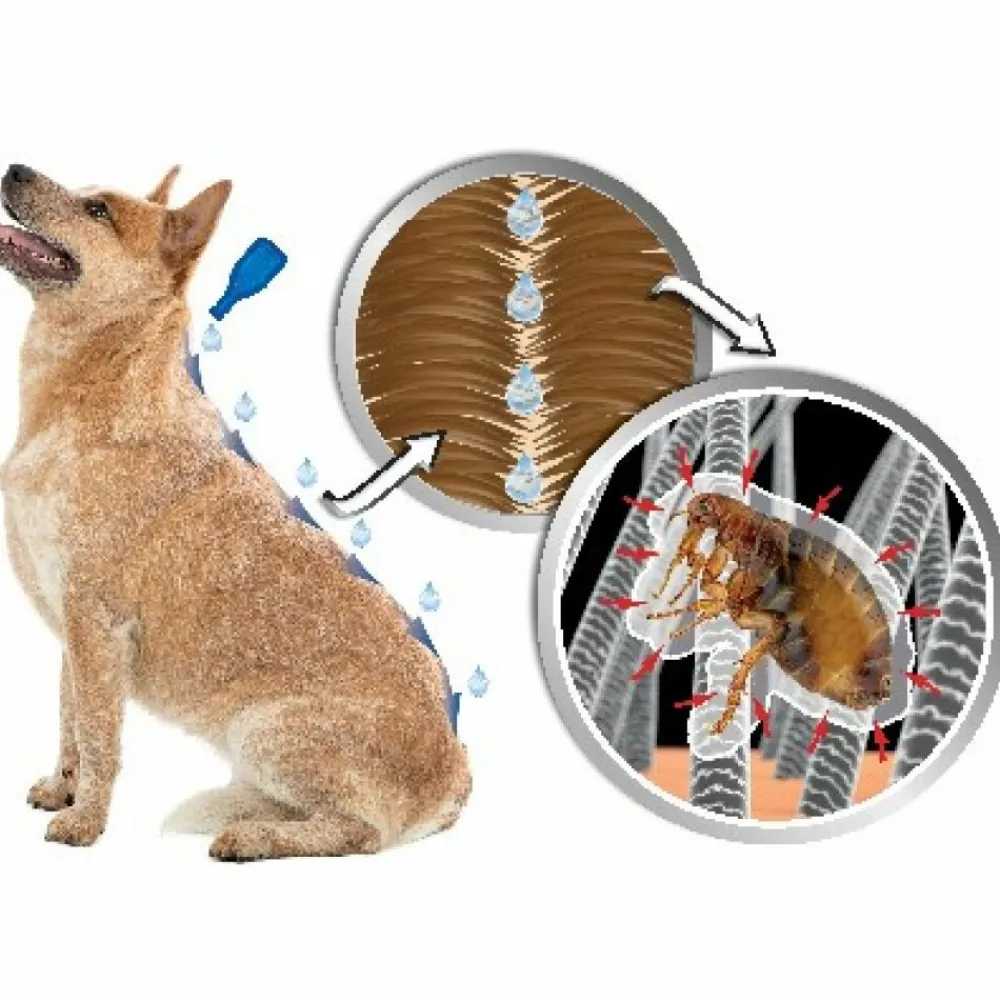 DImetHIcare Line-On Anti Vlooien en Teken Druppels Hond > 30 kg 6 pipetten^Beaphar Hot