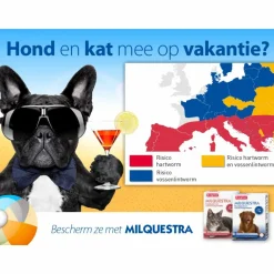 Sale Milquestra Ontworming Tabletten Hond 0,5-10 kg (ook puppy) 2 tabletten Vlo, Teek & Worm