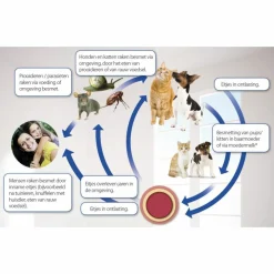 Sale Milquestra Ontworming Tabletten Hond 0,5-10 kg (ook puppy) 2 tabletten Vlo, Teek & Worm