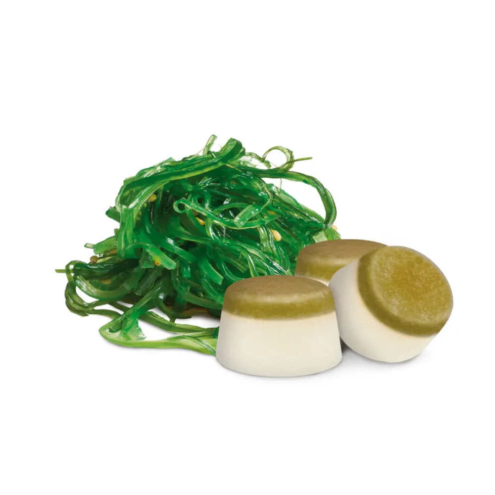 Clearance Schapenvet Bonbons Zeewier 245 gr Snacks