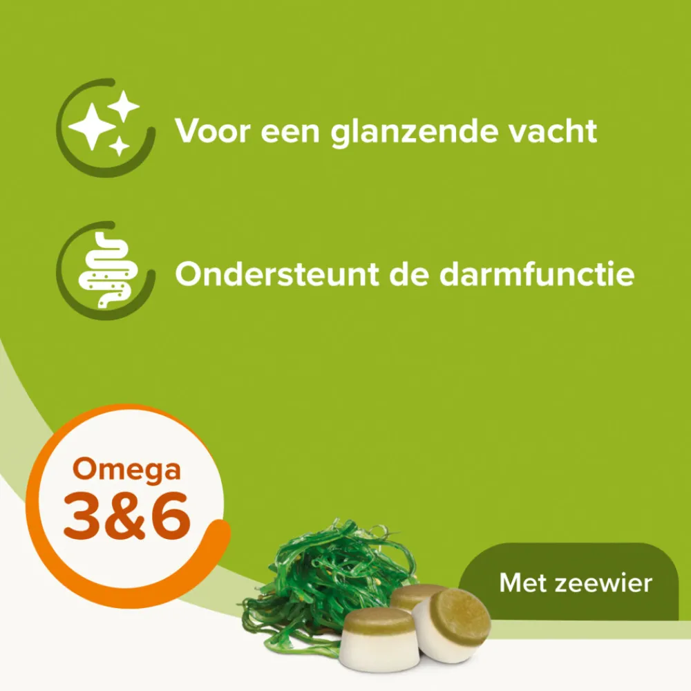 Clearance Schapenvet Bonbons Zeewier 245 gr Snacks