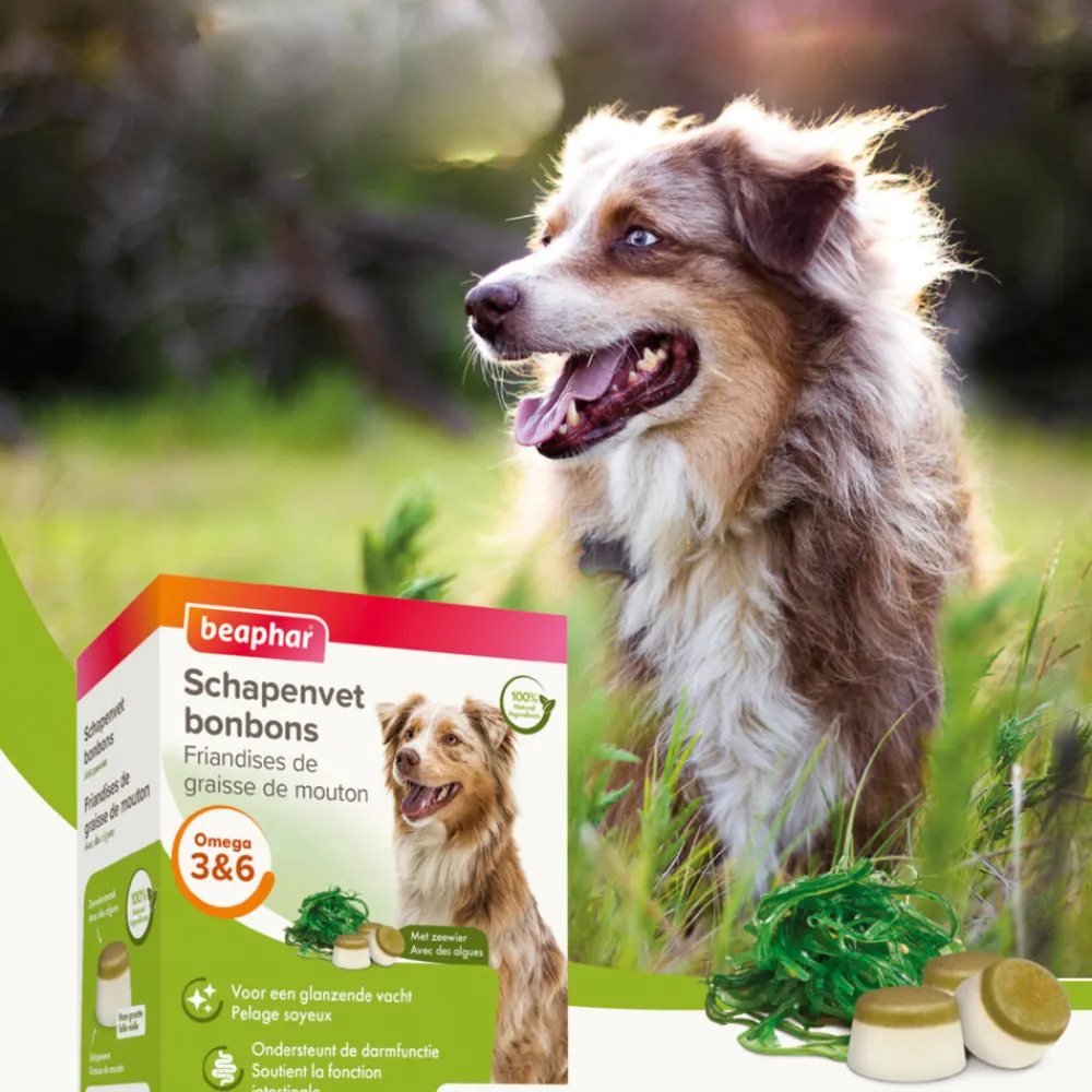 Clearance Schapenvet Bonbons Zeewier 245 gr Snacks