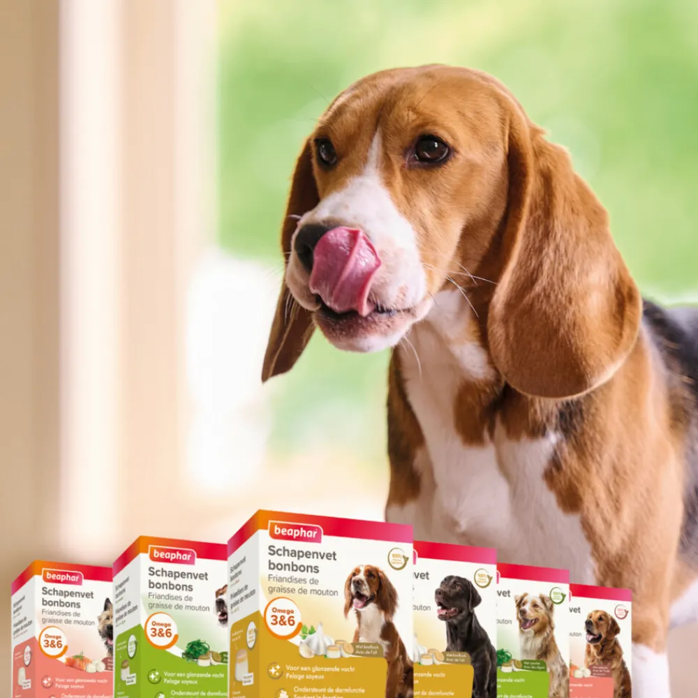 Clearance Schapenvet Bonbons Zeewier 245 gr Snacks