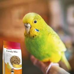 Best Snoepzaad Snoepzaad 150 gr Snacks|Droogvoer & Zaden