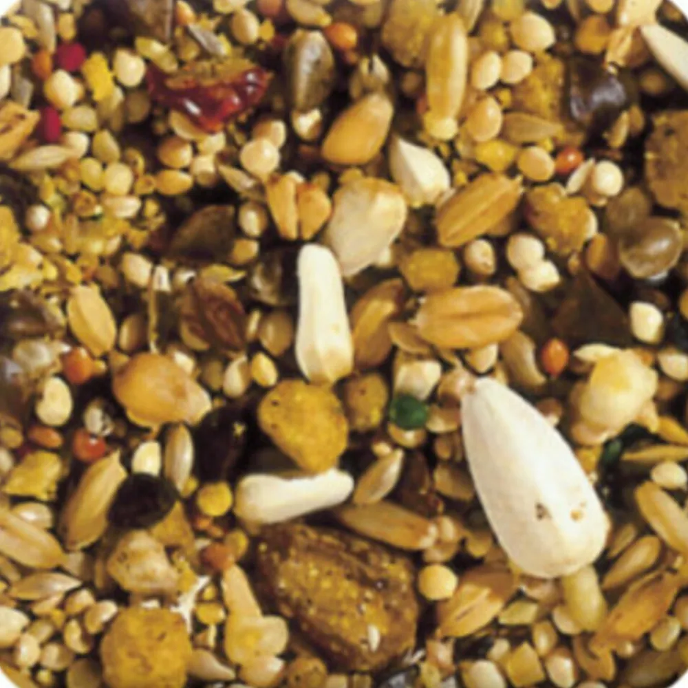 Sale XtraVital Grote Parkiet 1 kg Droogvoer & Zaden