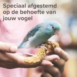 XtraVital Kanarie 500 gr^Beaphar New