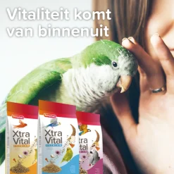 XtraVital Kanarie 500 gr^Beaphar New