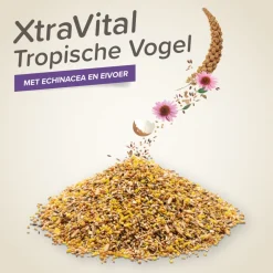 Droogvoer & Zaden<Beaphar XtraVital Tropische Vogels Tropische Vogels 500 gr