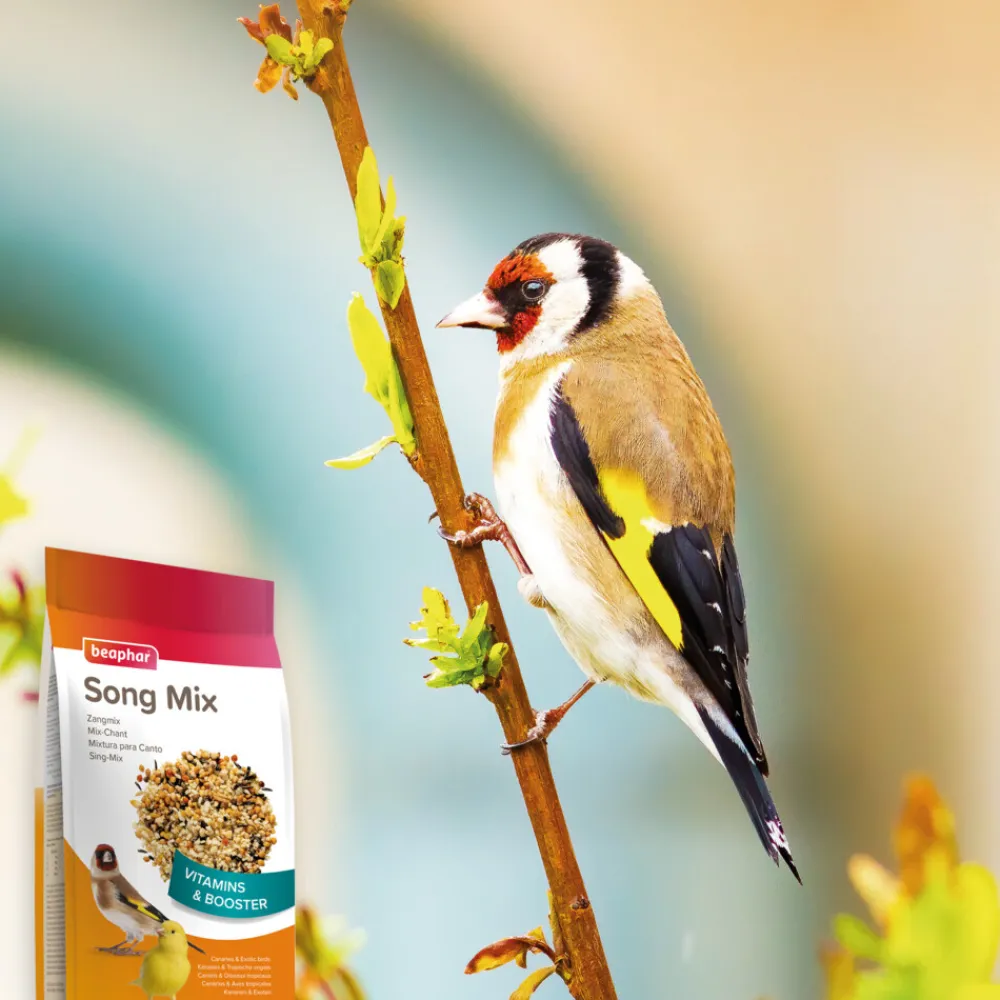 Zangmix 150 gr Droogvoer & Zaden