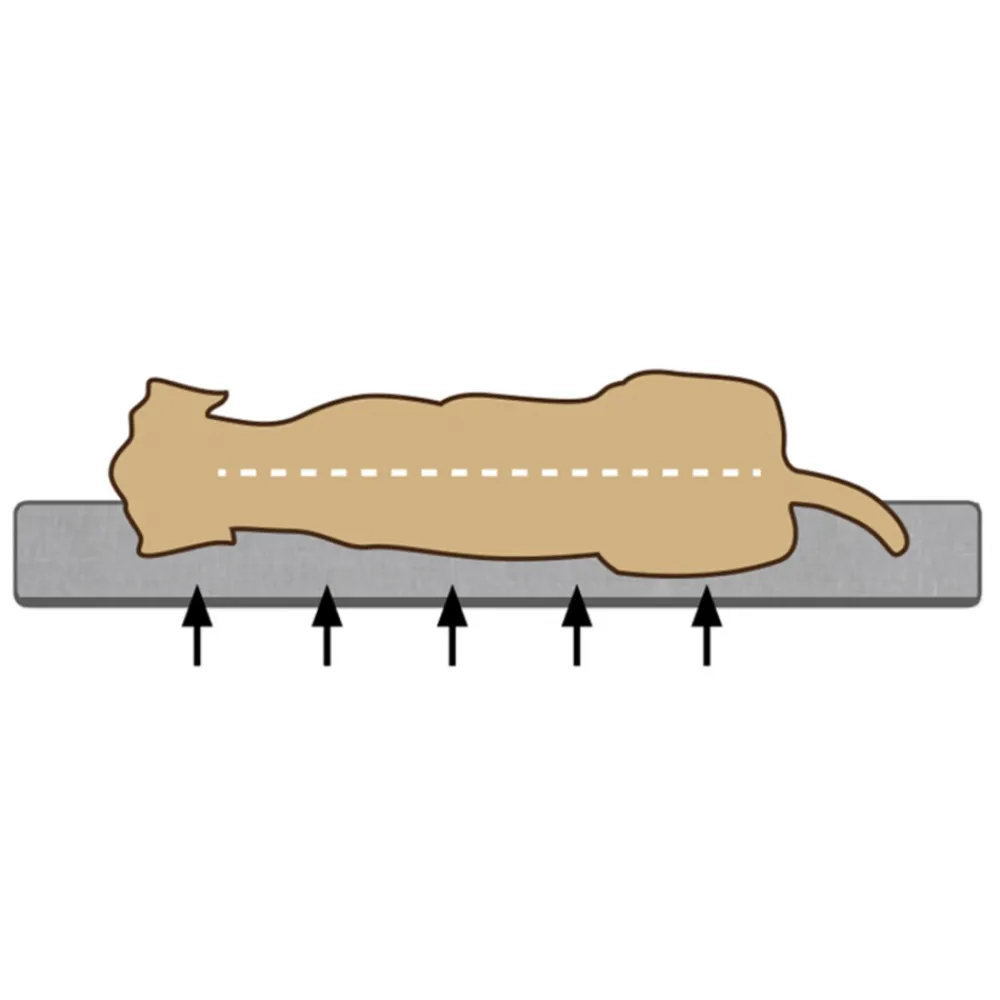 Manden & Dekens<Beeztees Orthopedisch Benchkussen Ito Grijs 78 x 55 cm