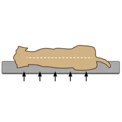 Orthopedisch Ligbed Uma Bruin 80 x 60 cm^Beeztees Best