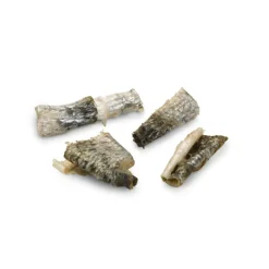 Hot Zalmhuid Bites 75 gr Snacks