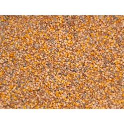 Basic Racing 25 kg^Beyers Discount