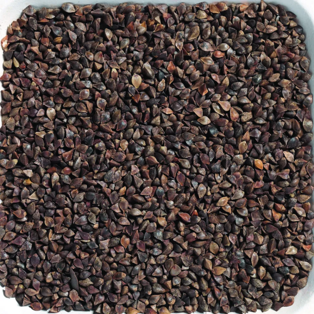 Boekweit 20 kg^Beyers Hot