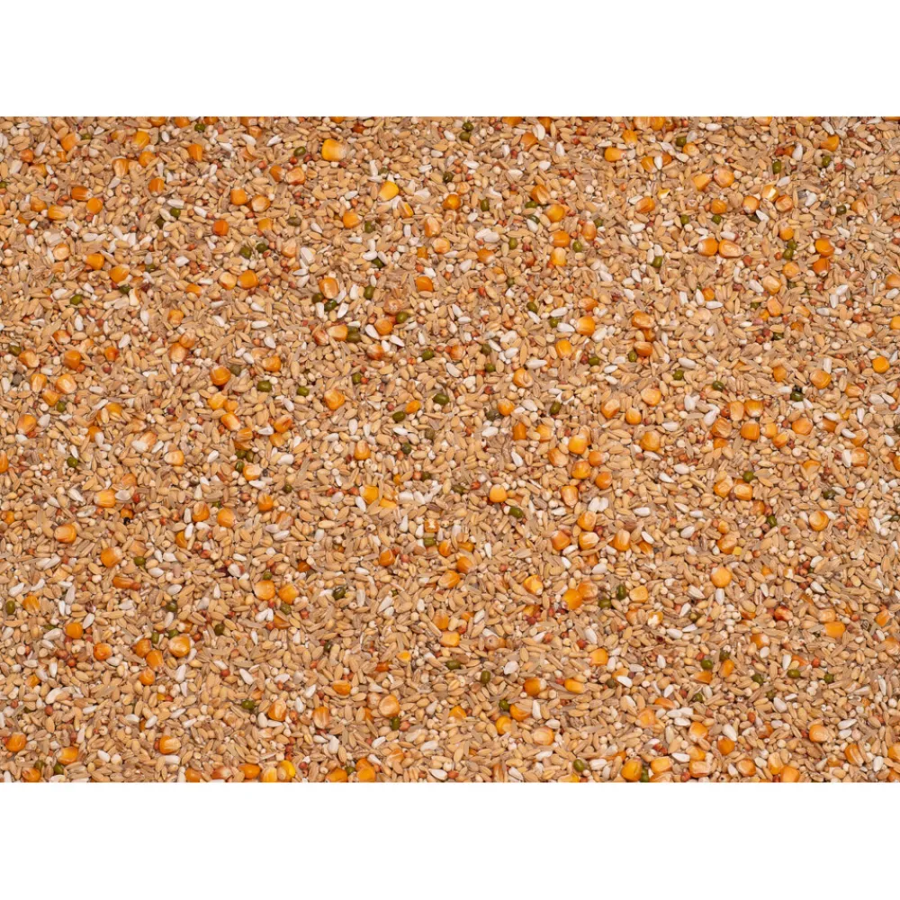 Online Enzymix 7/48 MS Recup 20 kg Duif