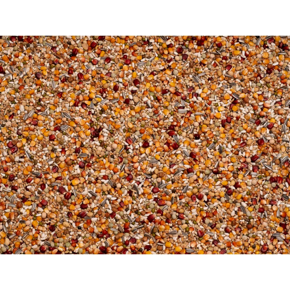 Duif<Beyers Galaxy Long Distance 20 kg