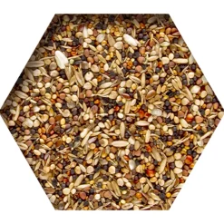 Hot Moulting Support 2 kg Duif