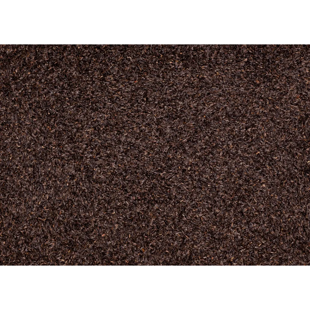 Clearance Negerzaad 20 kg Duif