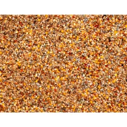 Outlet Olympia 53 Kweek & Rui 20 kg Duif